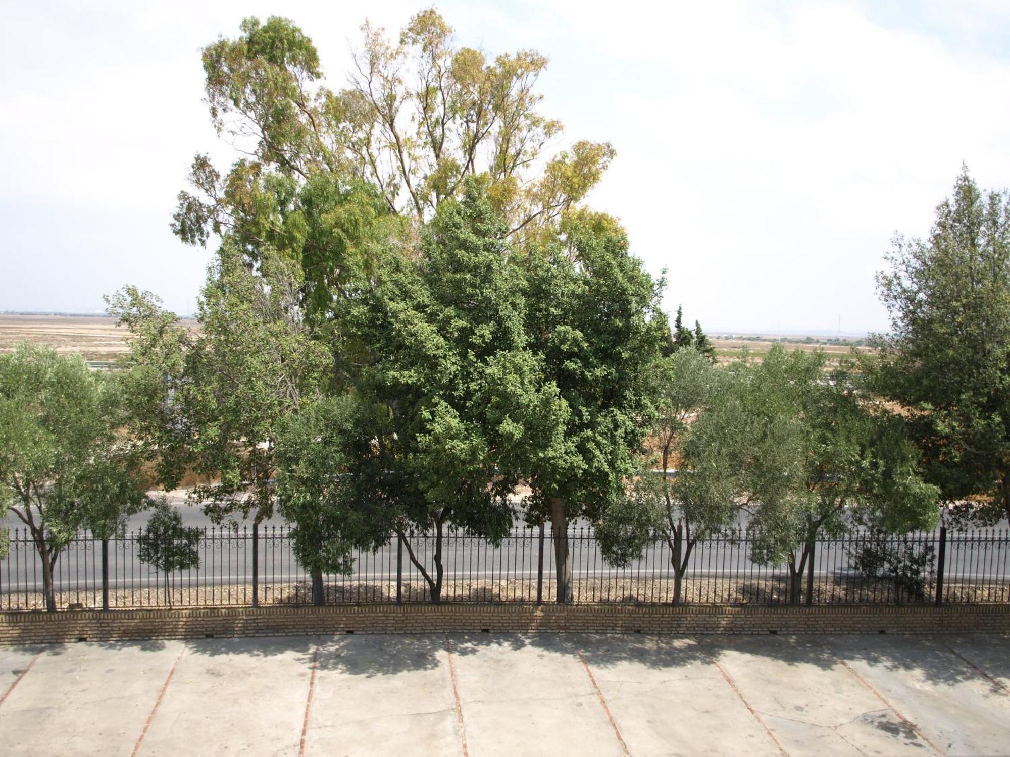 Hotel Caballo Negro Puerto Real Dış mekan fotoğraf